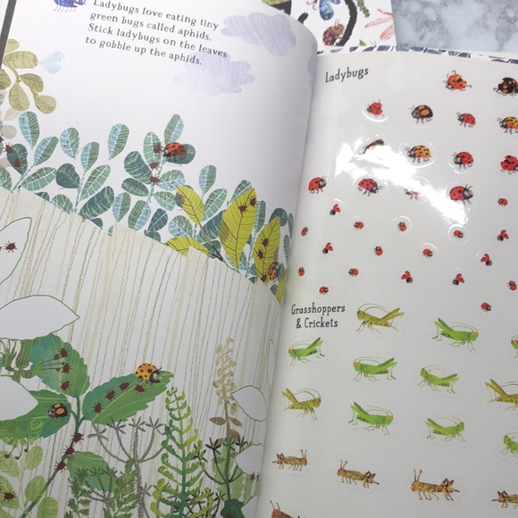 The Big Book of Bugs & Sticker Book - Picture 9 of 9
